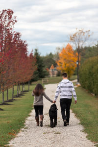 Young couple holding hands walking in the fall